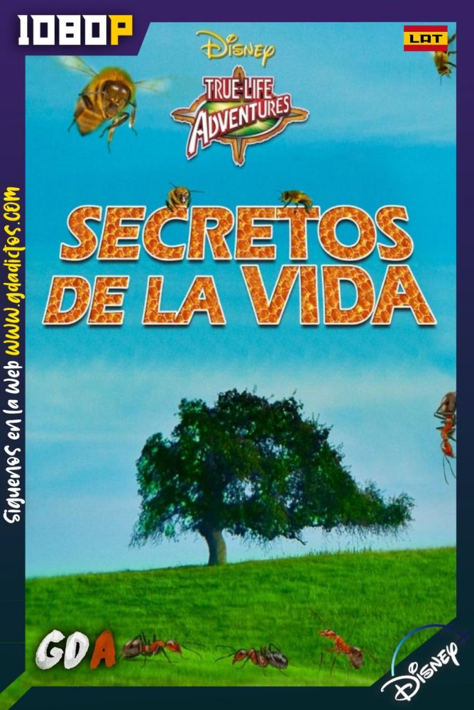 Secretos de la Vida (1956) DSNP WEB-DL 1080p Latino-Inglés
