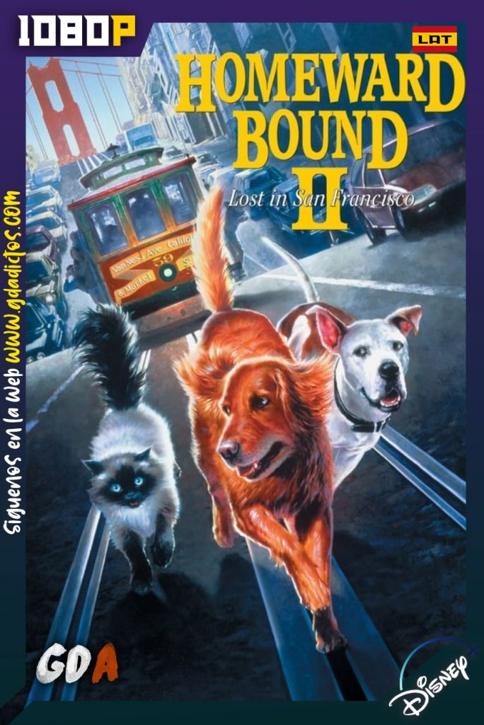 Volviendo a Casa 2: Perdidos en San Francisco (1996) DSNP WEB-DL 1080p Latino – Inglés