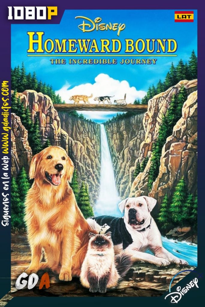 Volviendo a Casa: Una Aventura Increíble (1993) DSNP WEB-DL 1080p Latino – Inglés