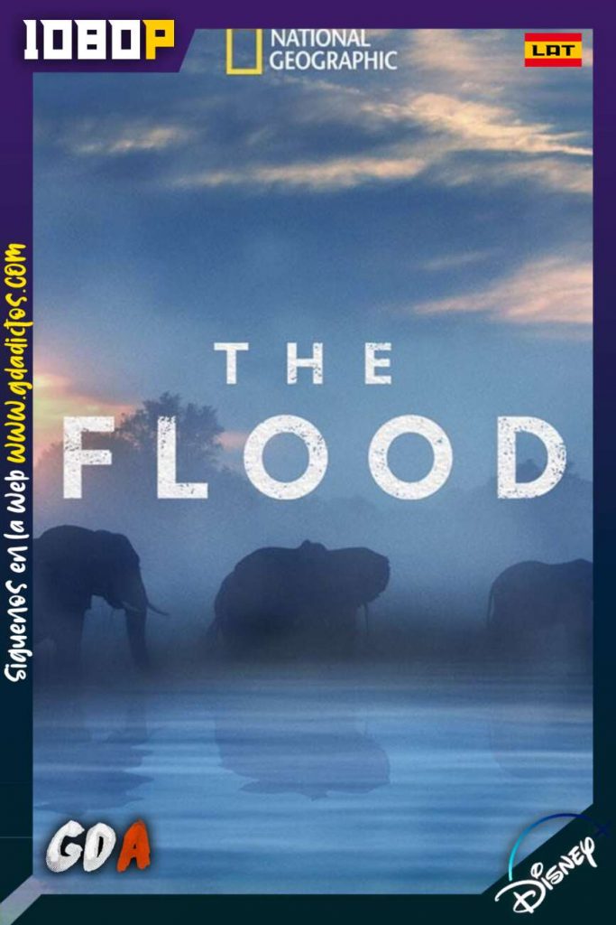 The Flood (2018) DSNP WEB-DL 1080p Latino-Inglés