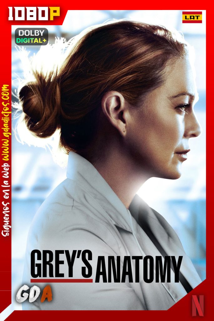 Grey’s Anatomy (2005) NF WEB-DL 1080p Latino-Ingles #17Temporadas