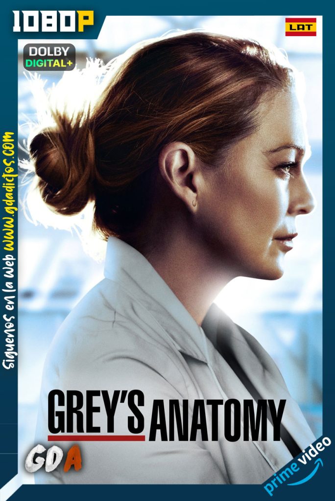 Grey’s Anatomy (2005) AMZN WEB-DL 1080p Latino-Ingles #17Temporadas