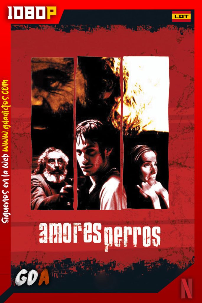 Amores Perros (2000) NF WEB-DL 1080p Latino