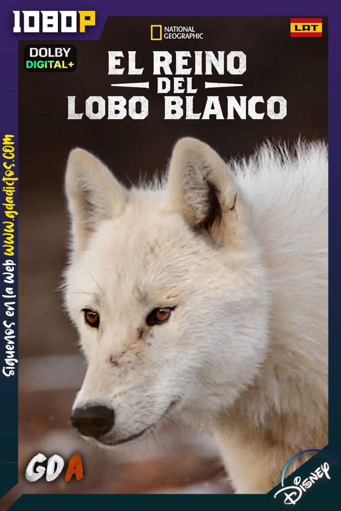 El Reino De El Lobo Blanco (2019) DSNP WEB-DL 1080p Latino – Inglés #1Temporada [03/03]