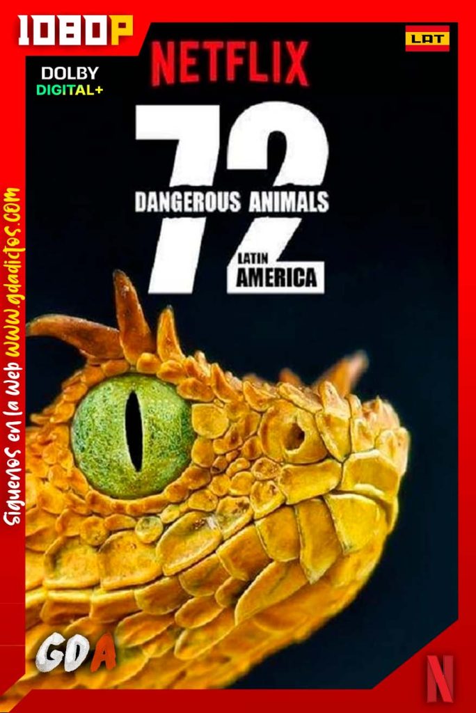 72 Animales Peligrosos – America Latina (2017) NF 1080p WEB-DL Latino – Inglés – Castellano #1Temporada [12/12]