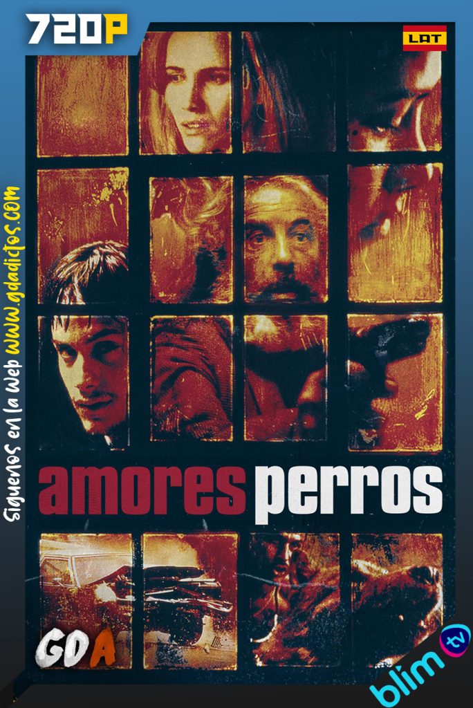 Amores Perros (2000) BM WEB-DL 720p Latino