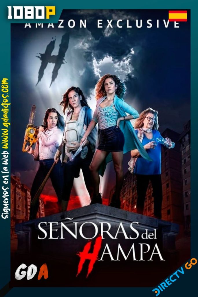 Señoras del (h)AMPA (2019) DTGO WEB-DL 1080p Castellano #2Temporadas [26/26]