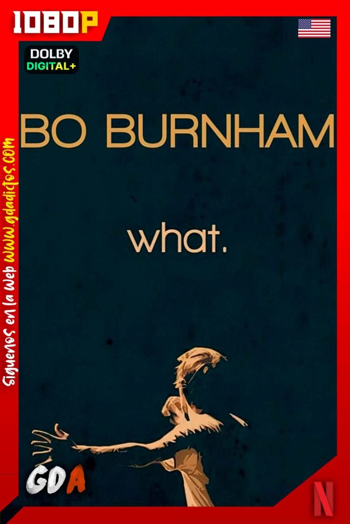 Bo Burnham What. (2013) NF WEB-DL 1080p Inglés