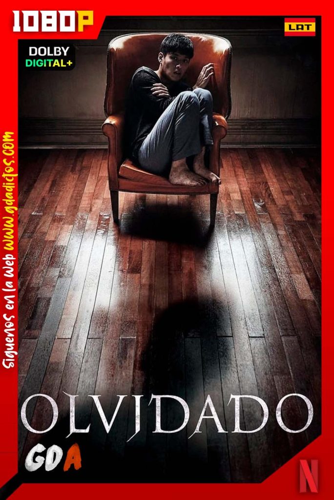 Olvidado (2017) NF WEB-DL 1080p Latino-Portugués-Koreano