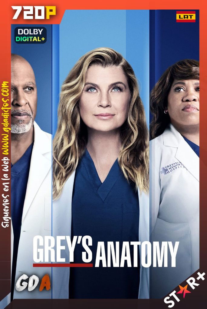 Grey’s Anatomy (2005) STRP WEB-DL 720p [Lat – Ing – Por – Cas] #Temporada18 [20/20]