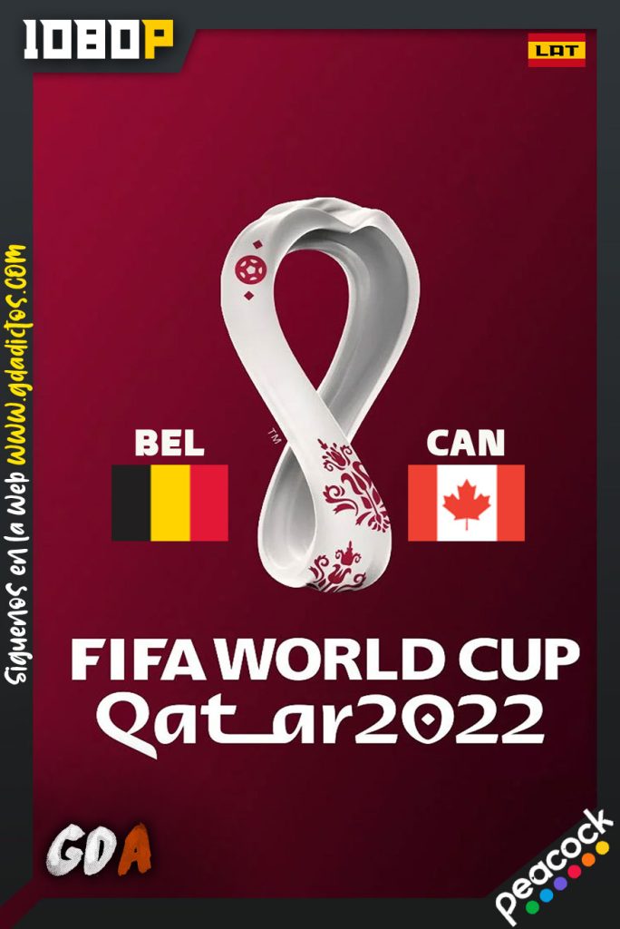 World Cup 2022 Bélgica Vs Canadá (2022) PCOCK WEB-DL 1080p Latino