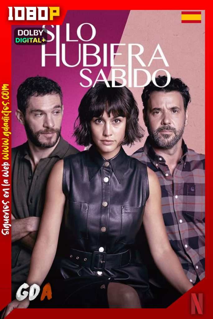 Si lo hubiera sabido (2022) NF WEB-DL 1080p [Cas-Ing-Por] #Temporada1 [08/08]