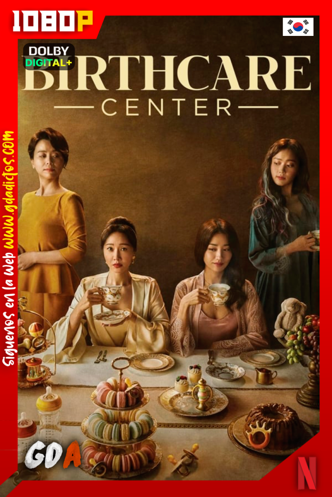 Centro de atención de partos (2020) NF WEB-DL 1080p Coreano #1Temporada