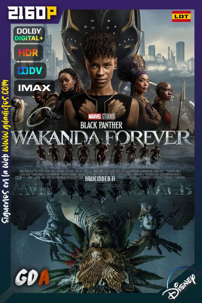 Black Panther: Wakanda Por Siempre (2022) iMAX DSNP WEB-DL 2160p HDR10-DoVi HYBRID [Lat-Ing-Cas-Por]