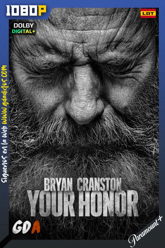 Your Honor (2020) PMNT WEB-DL 1080p [Lat – Ing – Por] #Temporada2 [10/10]
