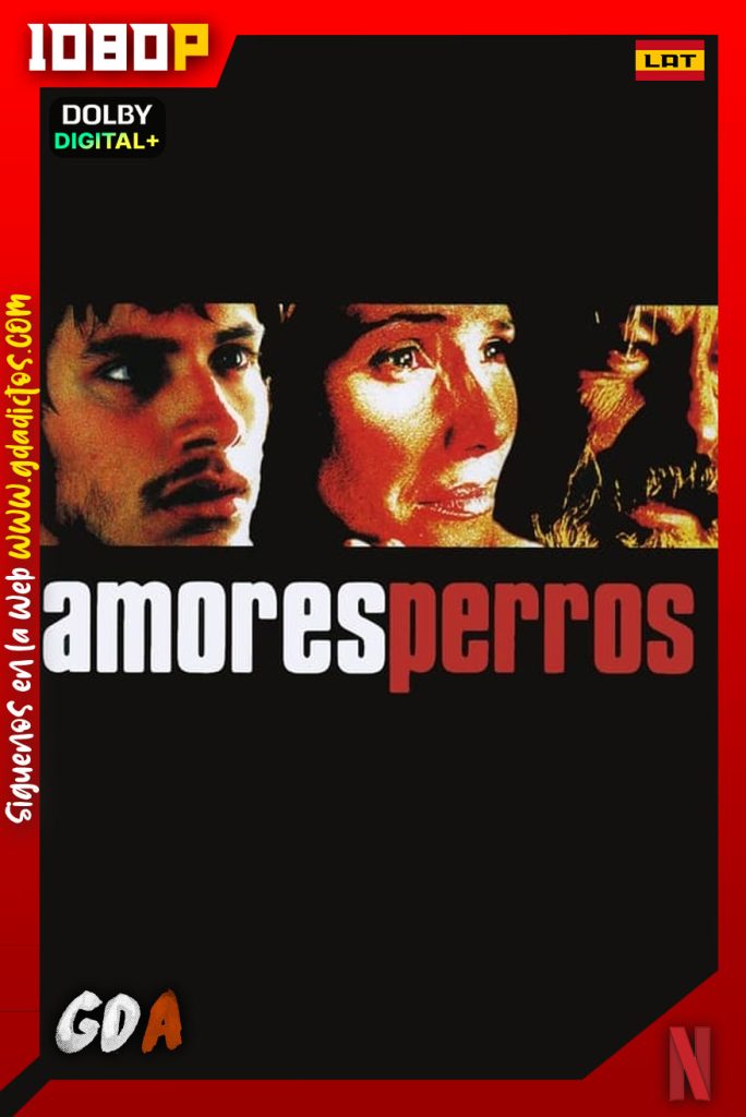 Amores Perros (2000) NF WEB-DL 1080p Latino