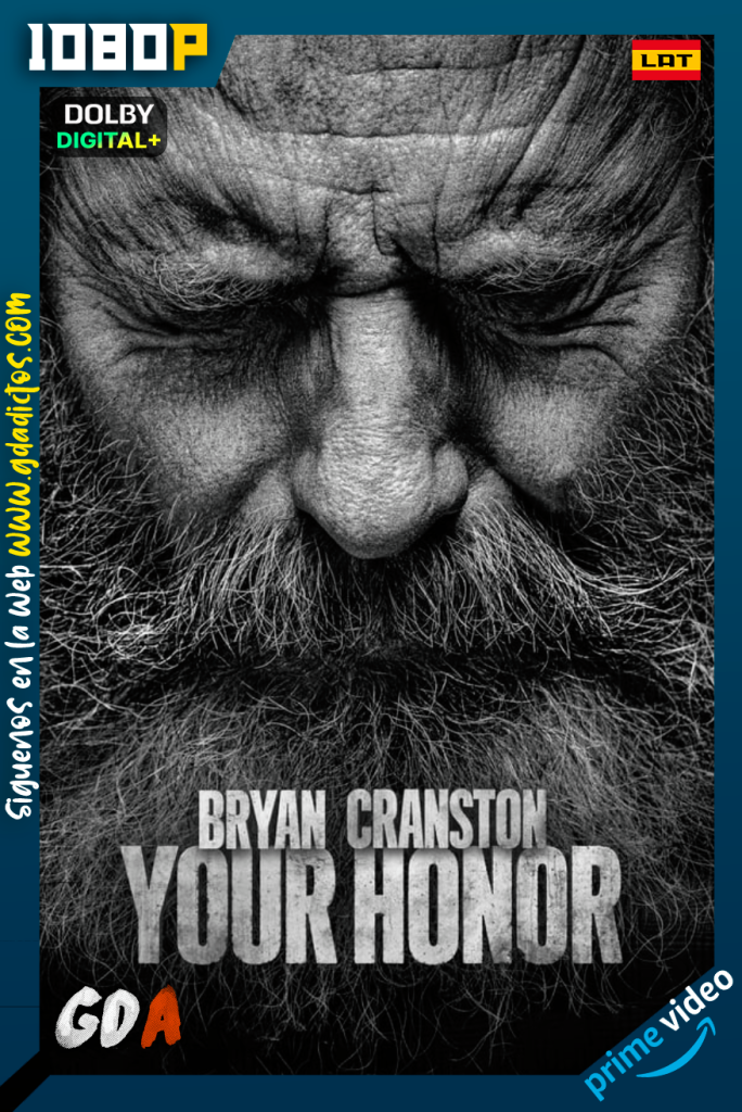 Your Honor (2020) AMZN WEB-DL 1080p [Lat – Ing – Por] #Temporada2 [10/10]