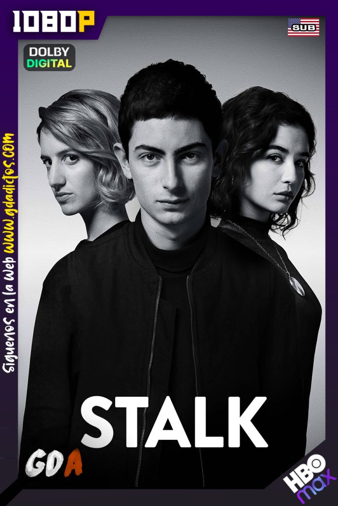 Stalk (2020) HMAX WEB-DL 1080p Francés – Subtitulado #2Temporadas [20/20]