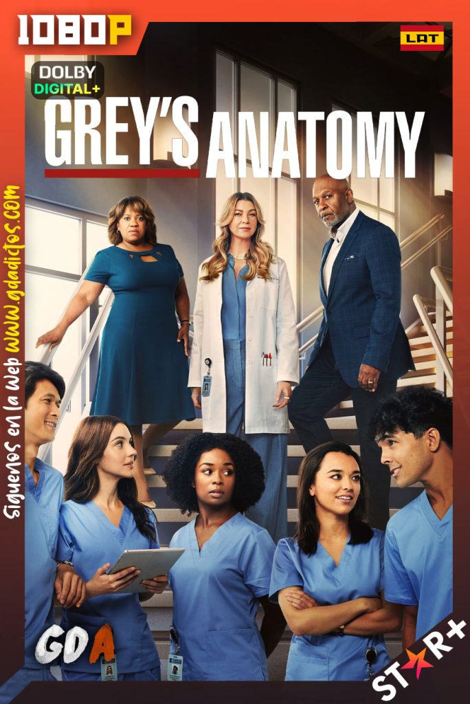 Grey’s Anatomy (2005) STRP WEB-DL 1080p [Lat-Ing-Por-Cas] #Temporada19 [20/20]