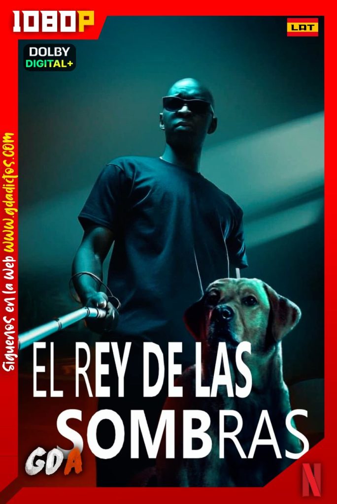 El Rey De Las Sombras (2023) NF WEB-DL 1080p [Lat-Ing-Cas-Por-Fra]
