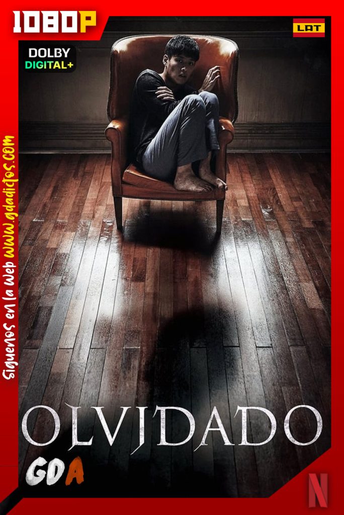 Olvidado (2017) NF WEB-DL 1080p [Lat-Por-Cor]