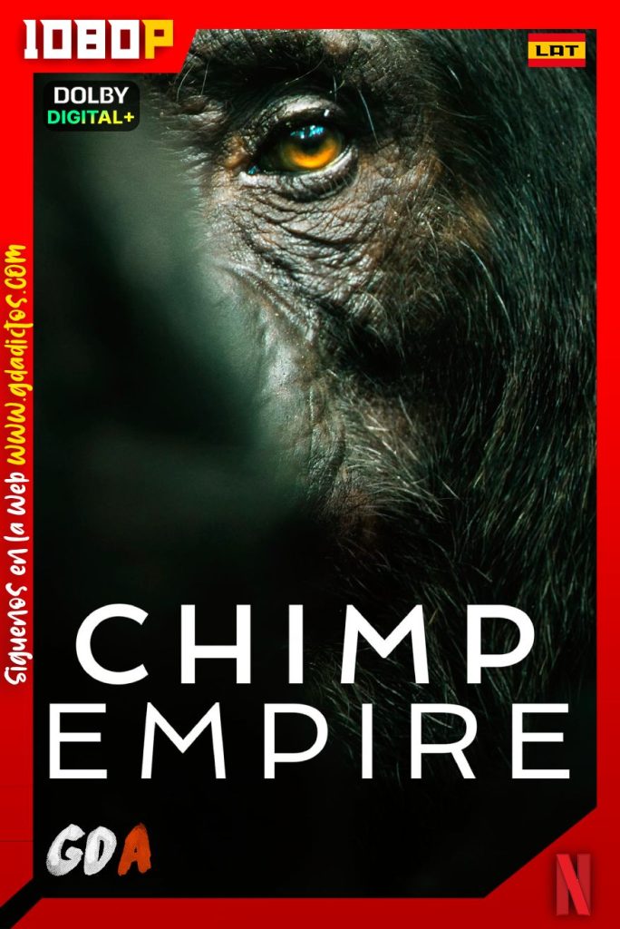 El Imperio de los Chimpances (2023) NF WEB-DL 1080p [Lat-Ing-Cas-Por] #1Temporada [04/04]