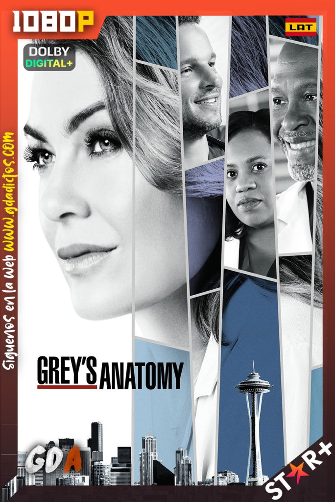 Grey’s Anatomy (2005) STRP WEB-DL 1080p [Lat – Ing – Por – Cas] #19Temporadas [417/417]