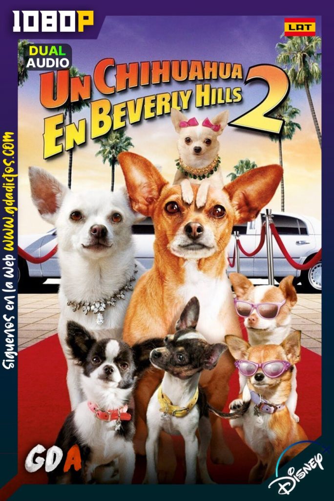 Una chihuahua de Beverly Hills 2 (2011) DSNP WEB-DL 1080p [Lat-Ing-Por-Cas]