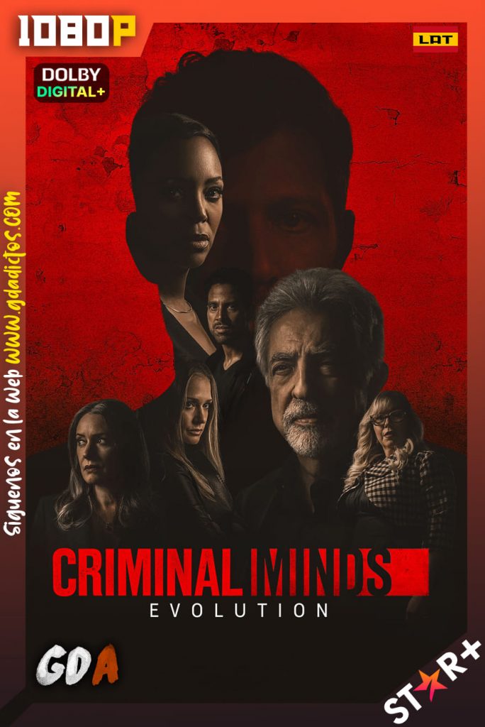Mentes Criminales (2005) STRP 1080p [Lat – Ing – Por – Cas] #16Temporadas