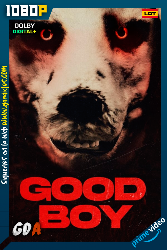 Good Boy (2022) AMZN WEB-DL 1080p [Lat – Nor – Por]