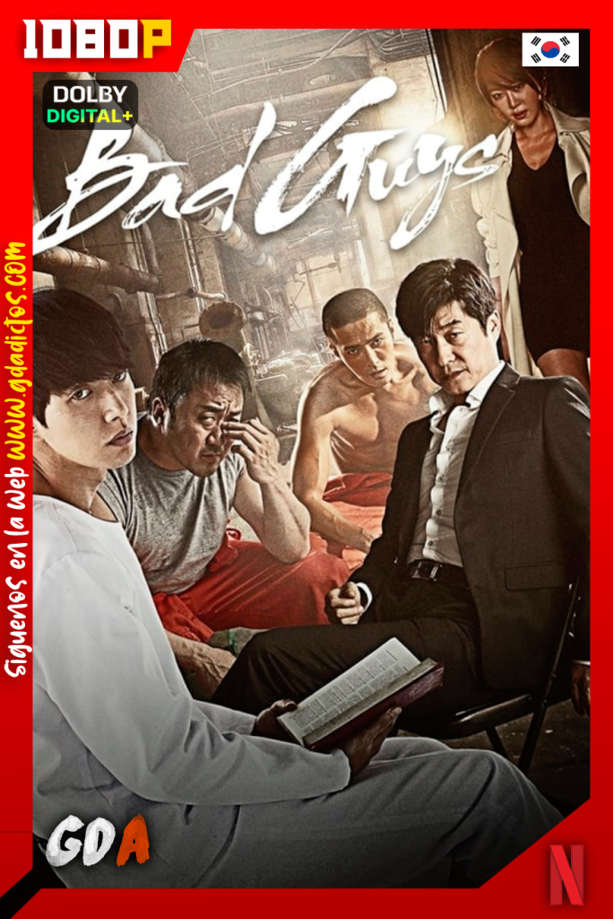Bad Guys (2014) NF WEB-DL 1080p Coreano-Sub #1Temporada [11/11]