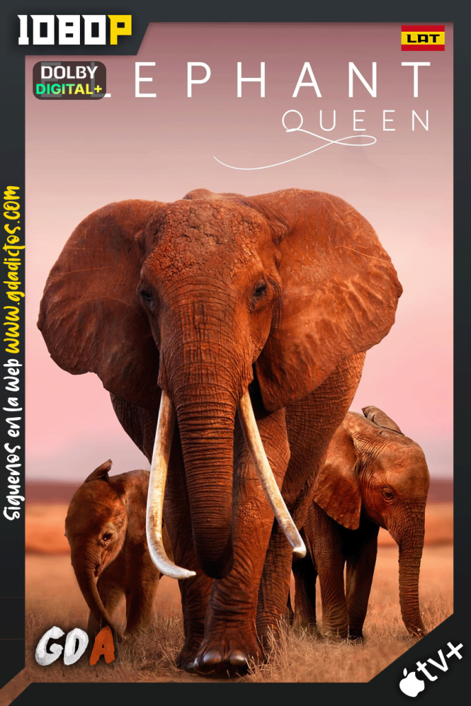 The Elephant Queen (2019) ATVP WEB-DL 1080p [Lat-Ing-Cas-Por]