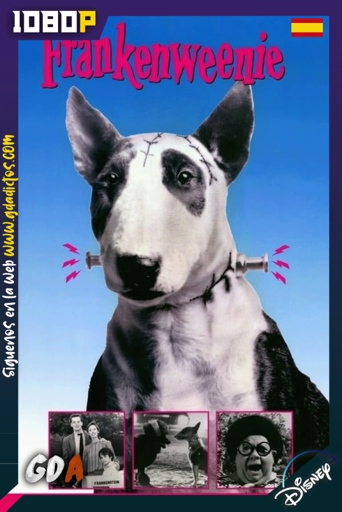 Frankenweenie (1984) DSNP WEB-DL [480p] [Ing – Cas]