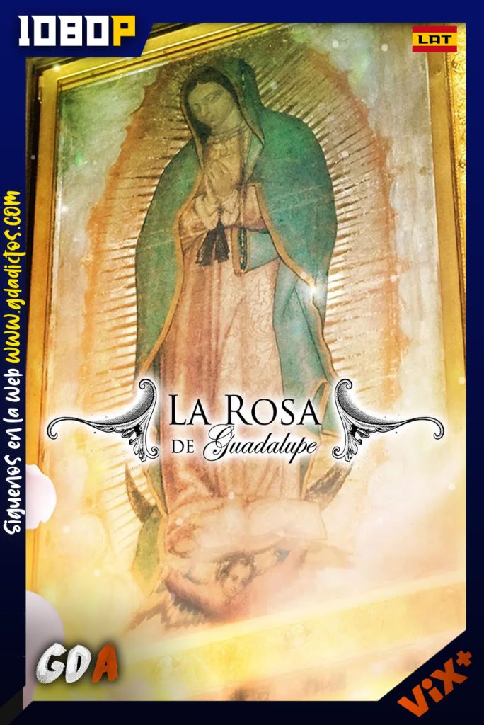La Rosa de Guadalupe (2008) ViX WEB-DL 1080p [Lat] #19Temporadas [2365/??]