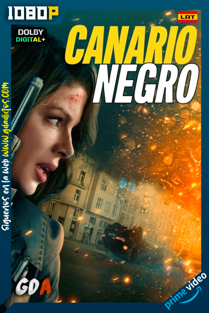 Canario Negro (2024) AMZN WEB-DL [1080p] [Lat – Ing – Por – Cas]