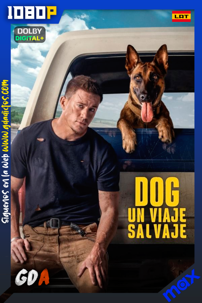 Dog: Un Viaje Salvaje (2022) MAX WEB-DL [1080p] [Lat – Ing – Por]