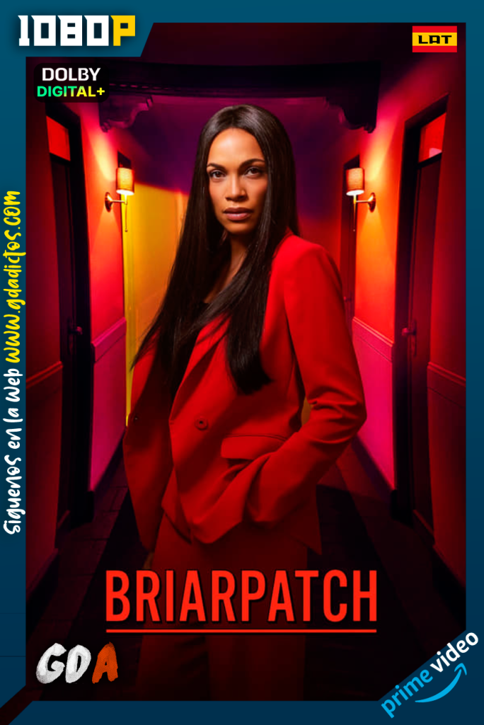 Briarpatch (2020) AMZN WEB-DL 1080p [Lat – Ing] #1Temporada