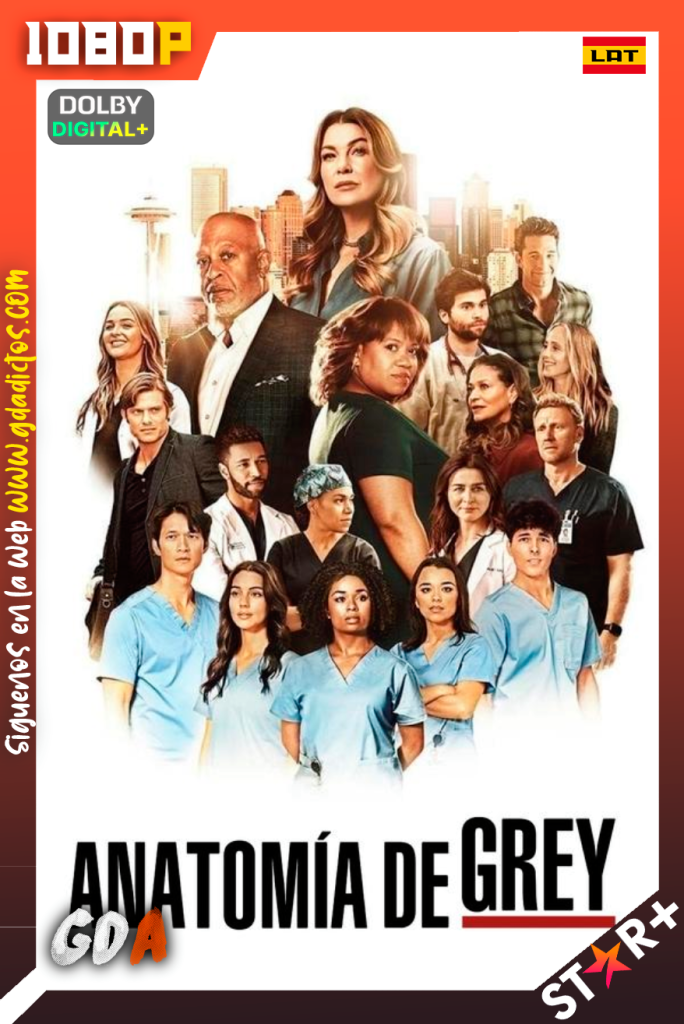 Grey’s Anatomy (2005) STRP 1080p [Lat – Ing – Por – Cas] #20Temporadas [430/430]