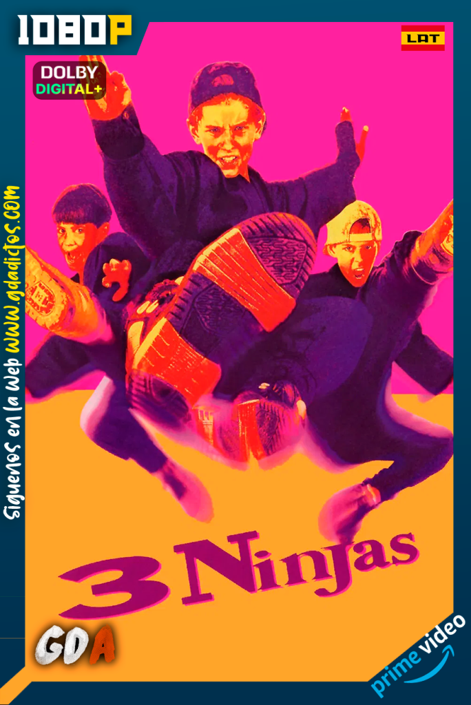 3 Ninjas (1992) AMZN WEB-DL [1080p] [Lat – Ing – Por – Cas]
