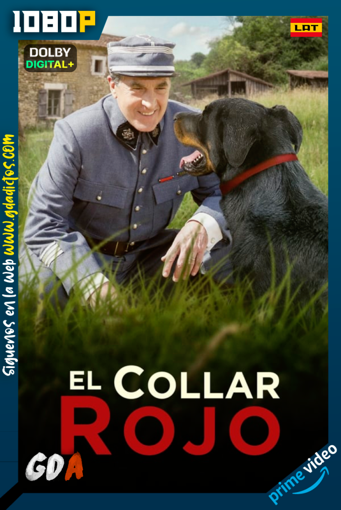 El collar rojo (2018) AMZN WEB-DL 1080p [Lat – Fra – Por]