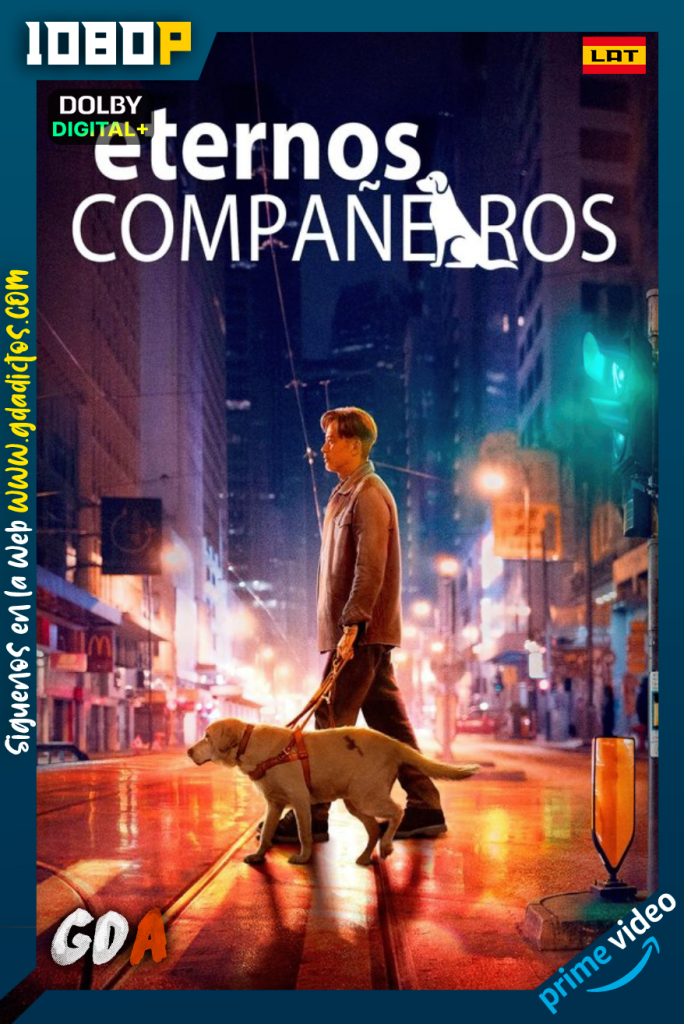 Eternos Compañeros (2019) AMZN WEB-DL 1080p [Lat – Chi]