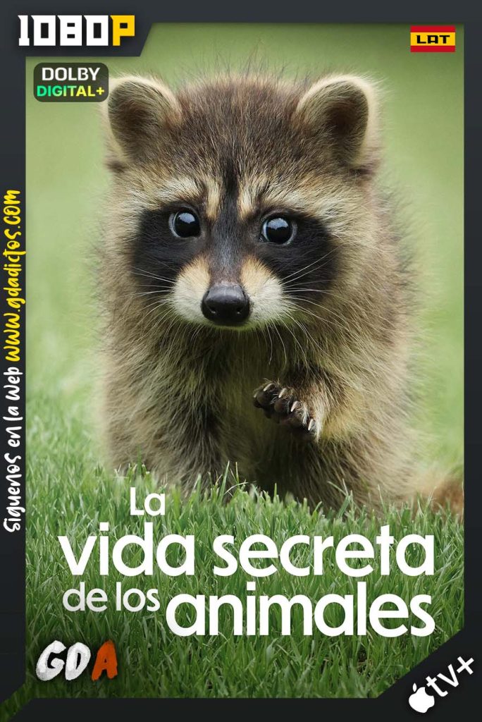 La vida secreta de los animales (2024) ATVP WEB-DL 1080p [Lat – Ing – Por – Cas] #1Temporada [10/10]