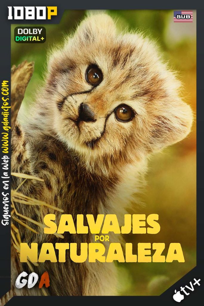 Salvajes por naturaleza (2025) ATVP WEB-DL 1080p [Ing – Sub] #1Temporada [06/06]