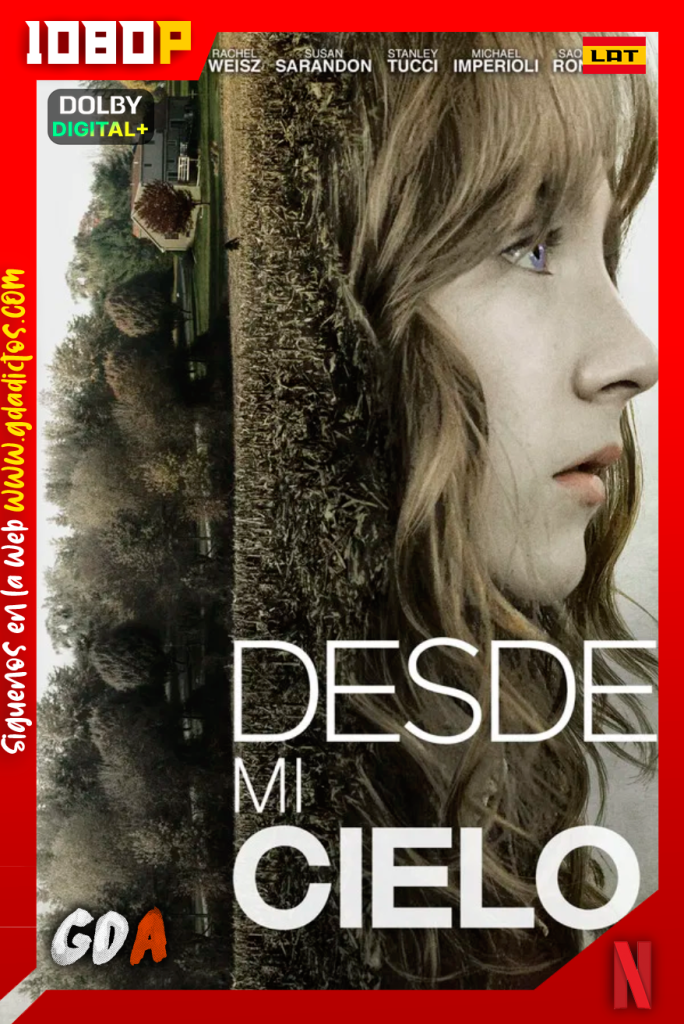 Desde Mi Cielo (2009) NF WEB-DL [1080p] [Lat – Ing – Por – Cas]