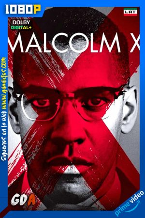 Malcolm X (1992) AMZN WEB-DL 1080p [Lat – Ing – Por]