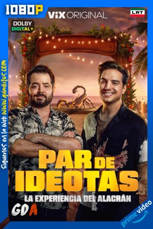 Par de Ideotas (2025) AMZN 1080p [Lat] #Temporada2