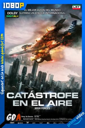 Catastrofe en el aire (2024) AMZN WEB-DL 1080p [Lat – Chi]