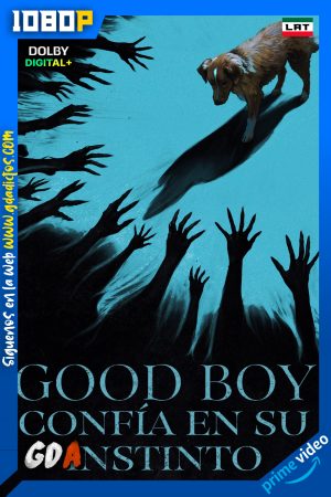 Good Boy Confia en su instinto (2025) AMZN WEB-DL [1080p] [Lat – Ing – Por]