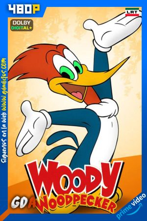 El nuevo show del Pajaro Loco (1999) AMZN 480p [Lat – Ing – Por] #4Temporadas